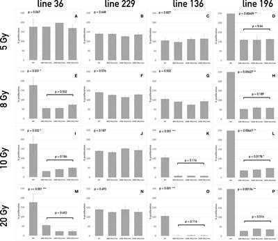 Ex Vivo Irradiation of Lung Cancer Stem Cells Identifies the Lowest <mark class="highlighted">Therapeutic Dose</mark> Needed for Tumor Growth Arrest and Mass Reduction In Vivo